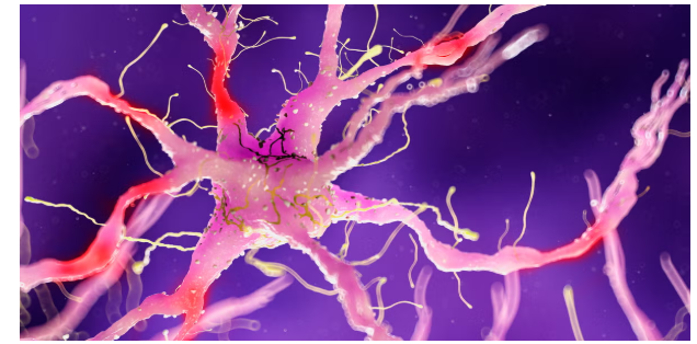 5 warning signs of Nerve Damage in the body