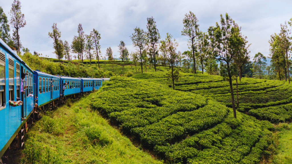 8 underrated rail routes in India for scenic journeys