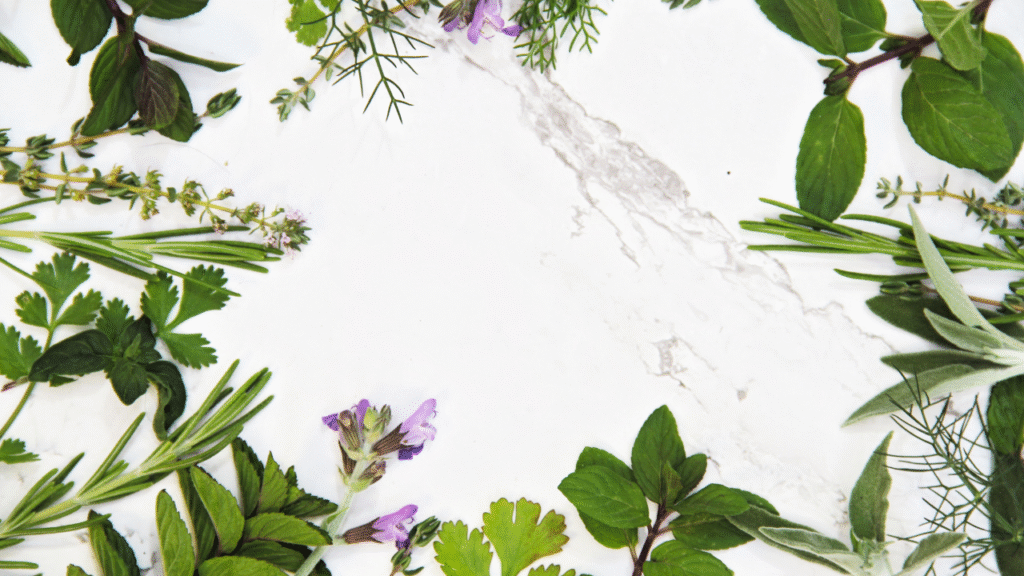 6 powerful herbs that can clear brain fog and boost mental clarity