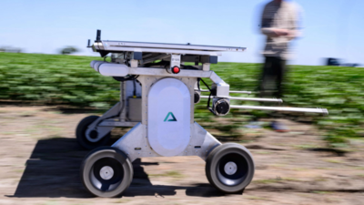 AI robots fill in for weed killers and farm hands