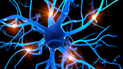 Morning rituals for the nervous system: 10 minutes can change your whole day