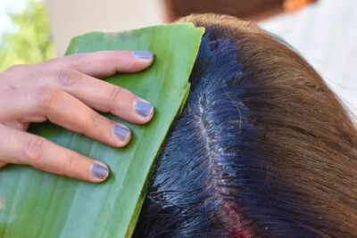 Does rubbing fresh aloe vera gel on the scalp regrow hair?