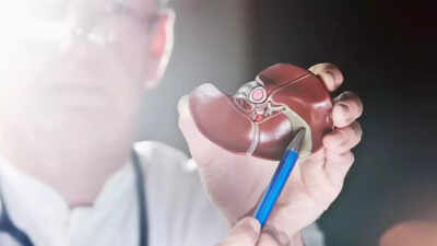 Gallbladder removal: What happens after surgery, side effects and foods to avoid |