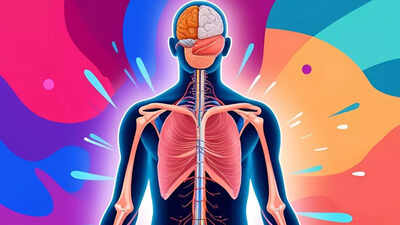 20 or 80, THIS organ of the body is (mostly) immune to ageing! |