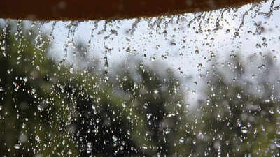 Monsoon garden woes? Try these 7 organic pest control tricks that actually work |