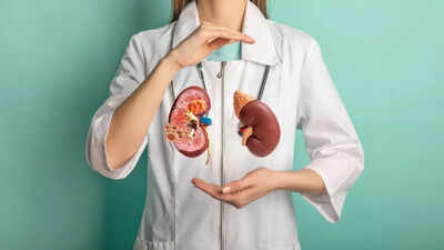 Is your kidney healthy? Check it yourself with this simple trick; no test needed |