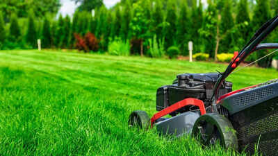 Why cutting your grass too short is the biggest lawn care mistake and what to do instead |