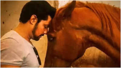 Randeep Hooda bids heartfelt farewell to his beloved horse Ranji after 23 years: ‘We just ran out of time’ | Hindi Movie News