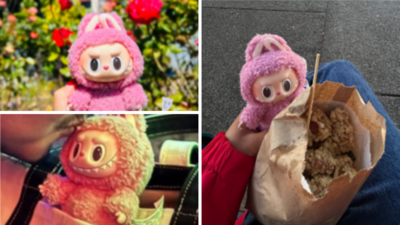 She’s pink, has scuffs on face & eats popcorn chicken: Labubu doll goes missing in US city; woman offers cash & a poem
