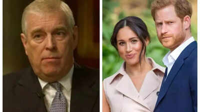 Prince Harry punched Andrew at royal gathering, called him coward; Meghan Markle was branded an ‘opportunist’: Book