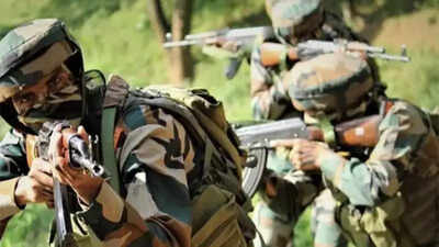 Two terrorists killed in Kulgam encounter | India News