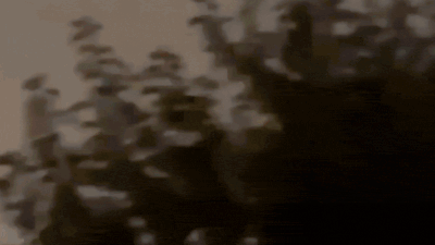 Ukrainian drones strike oil depot in Russia’s Sochi; spark massive fire – watch