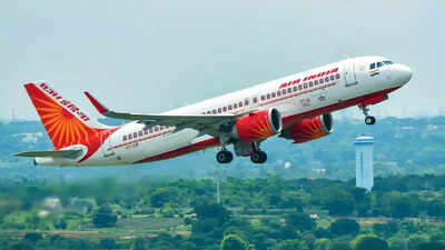 Cockroaches found in ultra-long-haul San Francisco-Mumbai Air India flight; airline apologises | Mumbai News