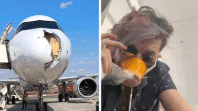 Bird slams into plane nose: Cabin filled with smoke mid-air; panic on Paris-bound flight — watch