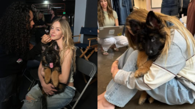 Now Sydney Sweeney’s pet dog is branded as ‘Nazi pet’ as backlash over jeans ad intensifies |