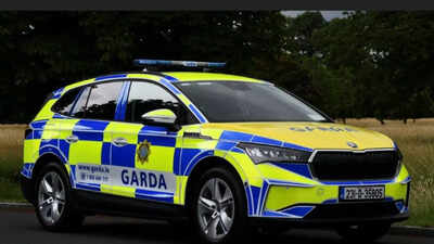 ‘I could not protect her’: Mother says her six-year-old daughter was told to ‘go back to India’; bicycle wheel was pushed onto her private parts