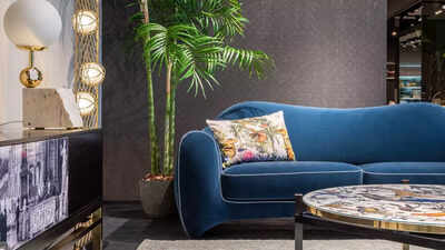 9 best indoor plants for windowless rooms and dark corners |