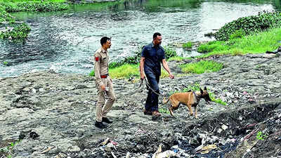 Man tries mend ties with ex-wife, his 2nd spouse mutilates genitals | India News