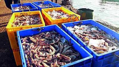 Seek new markets: Govt urges seafood exporters | India News