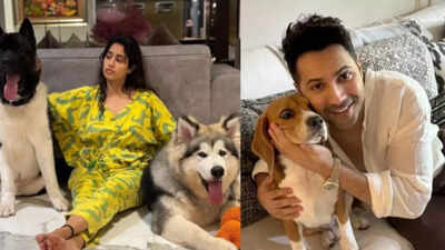 Janhvi Kapoor and Varun Dhawan speak out against the Supreme Court’s order to remove stray dogs from Delhi streets | Hindi Movie News