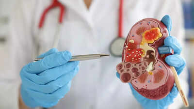 What happens after a kidney transplant? Know precaution tips, complications, recovery advice, and more |