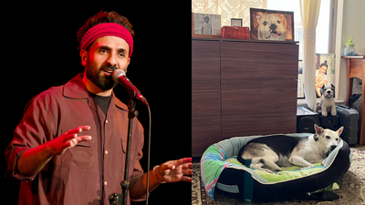 Delhi’s stray dog crisis: Vir Das requests residents to adopt Indie dogs after SC’s relocation order; encourages support for animal NGOs | Delhi News