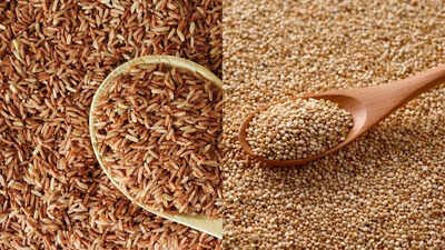 Brown rice vs Quinoa for sugar control: Which whole grain is best for diabetes management |