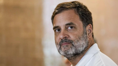 ‘History must not be permitted to repeat’: Rahul Gandhi says ‘may face harm’ in Savarkar defamation case; cites complainant’s Godse lineage | India News
