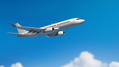 Influencers miss flight after ChatGPT advice: The twist will leave you speechless |