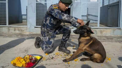 ‘Nepalese worship dogs, Indians must unite & save Delhi-NCR strays’ | India News