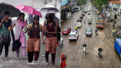 Are Mumbai schools and colleges closed today? BMC busts fake alert circulating on social media