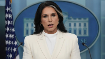 Tulsi Gabbard education and career path: From dropping out early to earning a business degree and becoming US Intelligence Chief