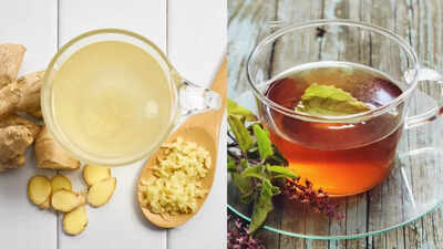 Ginger Tea vs Tulsi Tea: Which is better for digestion, immunity, and overall health |