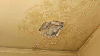 8 silent warning signs your home is at risk of damage |