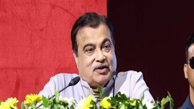 India developing world-class infra at reduced cost, says Gadkari | India News