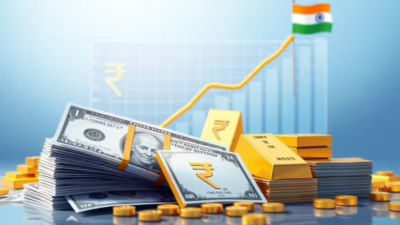 India forex reserves climb to 5.1 billion: FX assets rise .48 billion in week ended August 15; gold holdings fall