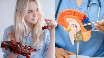 Eating cherries could slow memory loss and Alzheimer’s risk, offering an easy step for sharper memory |