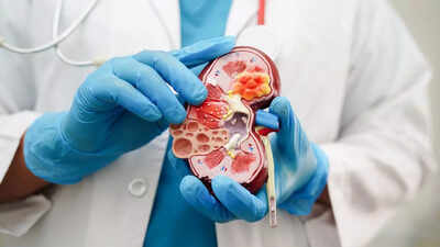 Kidney damage symptoms: 5 morning signs your body may be silently warning you about |