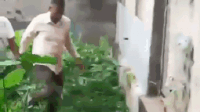 Jumped wall, threw phone in drain: How TMC MLA tried to evade ED, only to be later arrested – Video | India News