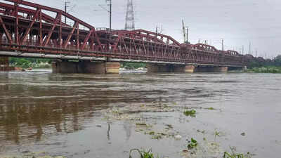 Delhi: Man jumps off Yamuna bridge during video call; sister says he was depressed after breakup; motorcycle, phone found abandoned | Delhi News