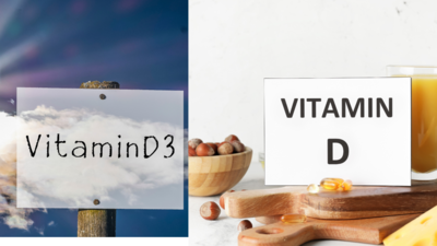 Vitamin D vs Vitamin D3: Are they the same, and which one to consume |