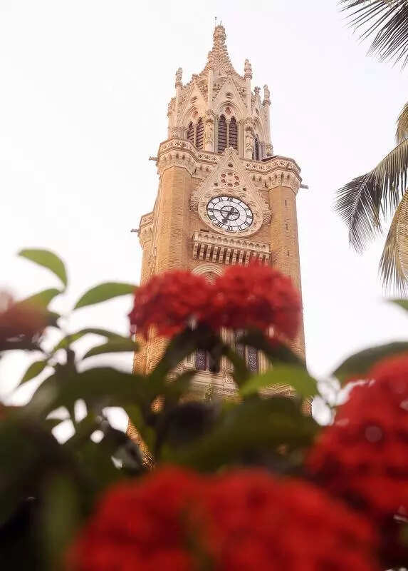 Mumbai University’s BA, BCom, BSc students can now opt for technical courses, ETEducation