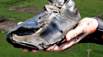 Roman foot soldiers or foot giants? 2,000-year-old giant Roman shoe surprises archaeologists