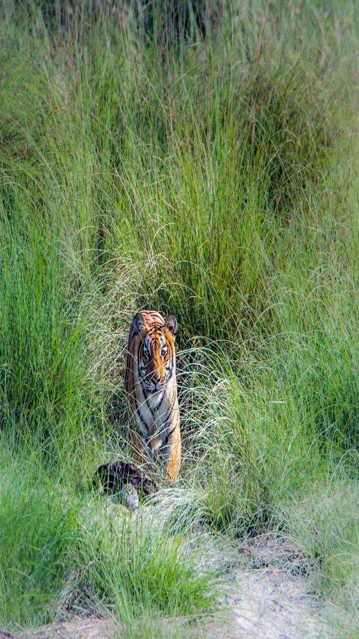 9 popular national parks in India perfect for September travels