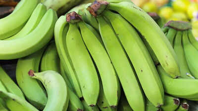 Cancer AIIMS gastroenterologist reveals 9 food facts for better gut health: Why slightly green bananas are best |