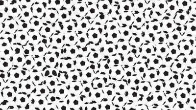 Optical Illusion: Think you have sharp vision? Prove it by spotting the Panda in 7 seconds! |