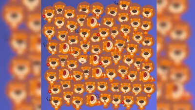 Optical Illusion: Only 1 in 10 people can find the hidden fox among lions! Are you one of them? |