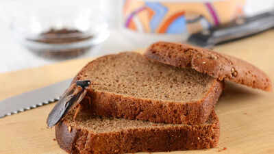 7 easy hacks to stop cockroaches from entering your kitchen |