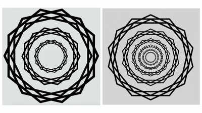 Optical illusion: THIS mind-bending trick will reveal how your brain perceives reality |