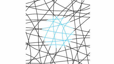 Optical illusions: These winding lines will fool one’s eyes, so look again |